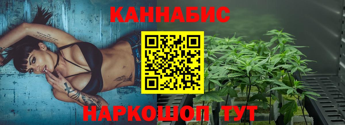 Конопля план  Конопля White Widow  Вход с VPN  Видное 
